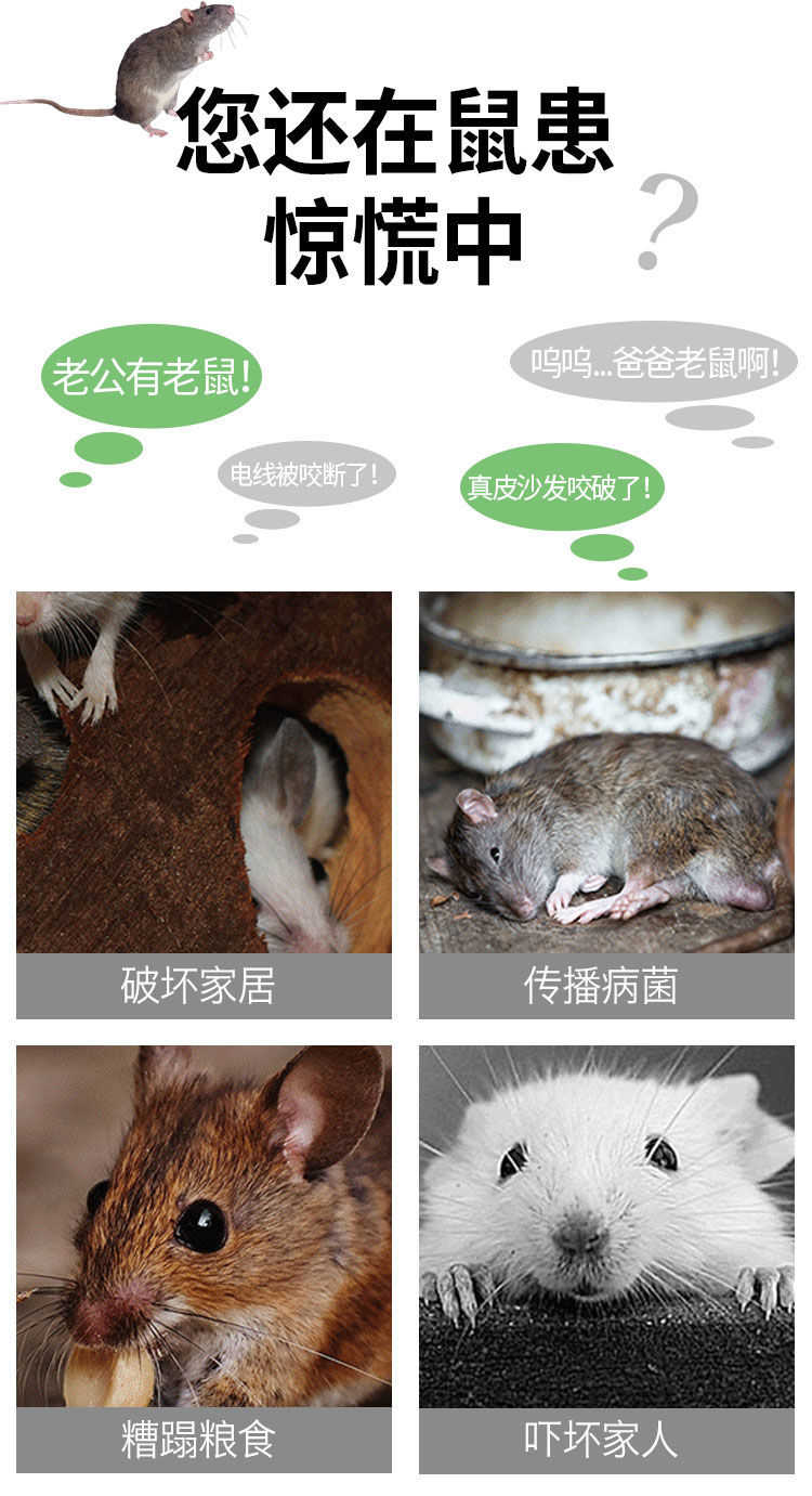 老鼠笼捕鼠器捕鼠笼子捉耗子全自动灭鼠器家用老鼠夹子粘马小详情4