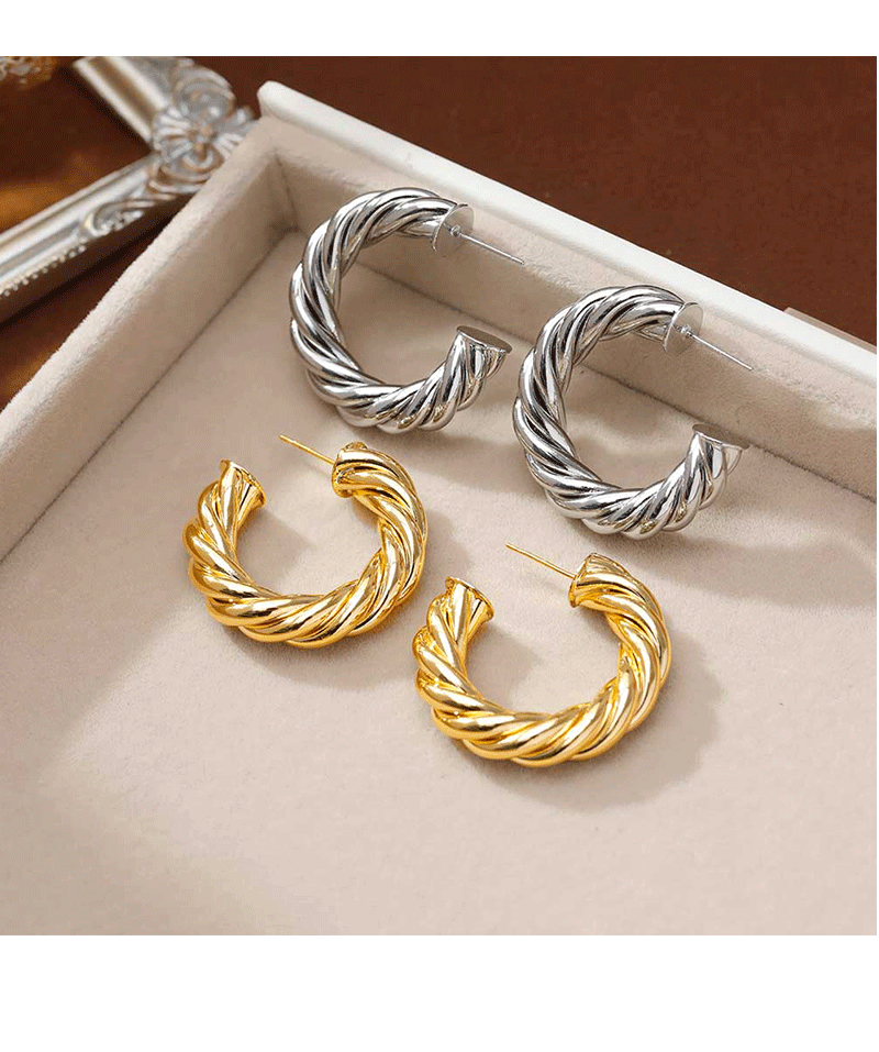 Hyacinth moda europea y americana personalidad temperamento moda orejeras minimalistas pendientes de aro de metal industria pesada alto grado sentido orejeras de oro pic 4