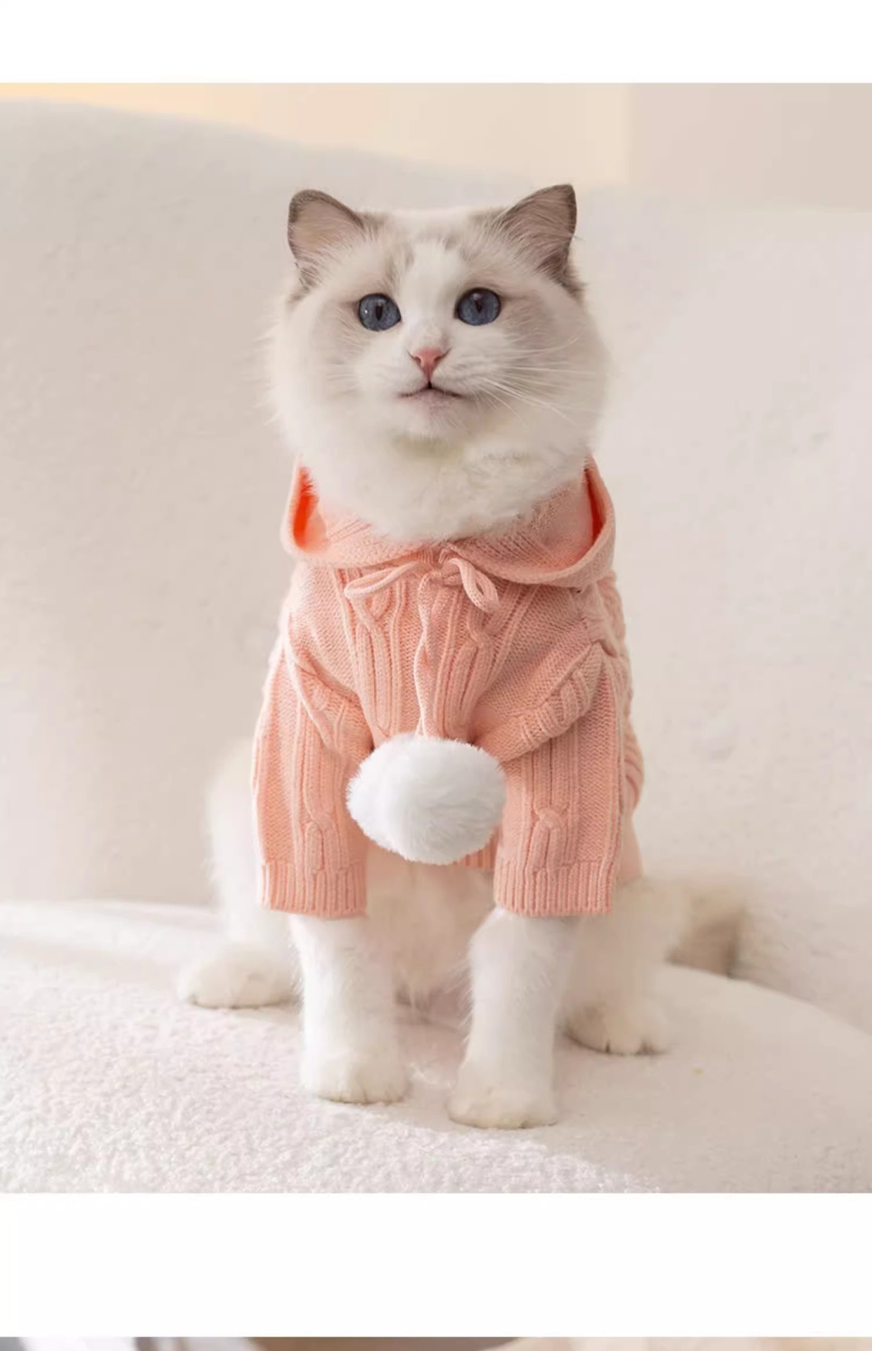 猫咪秋冬季连帽针织衫防掉毛猫咪衣服幼猫银渐层暹罗猫英短布偶猫详情8