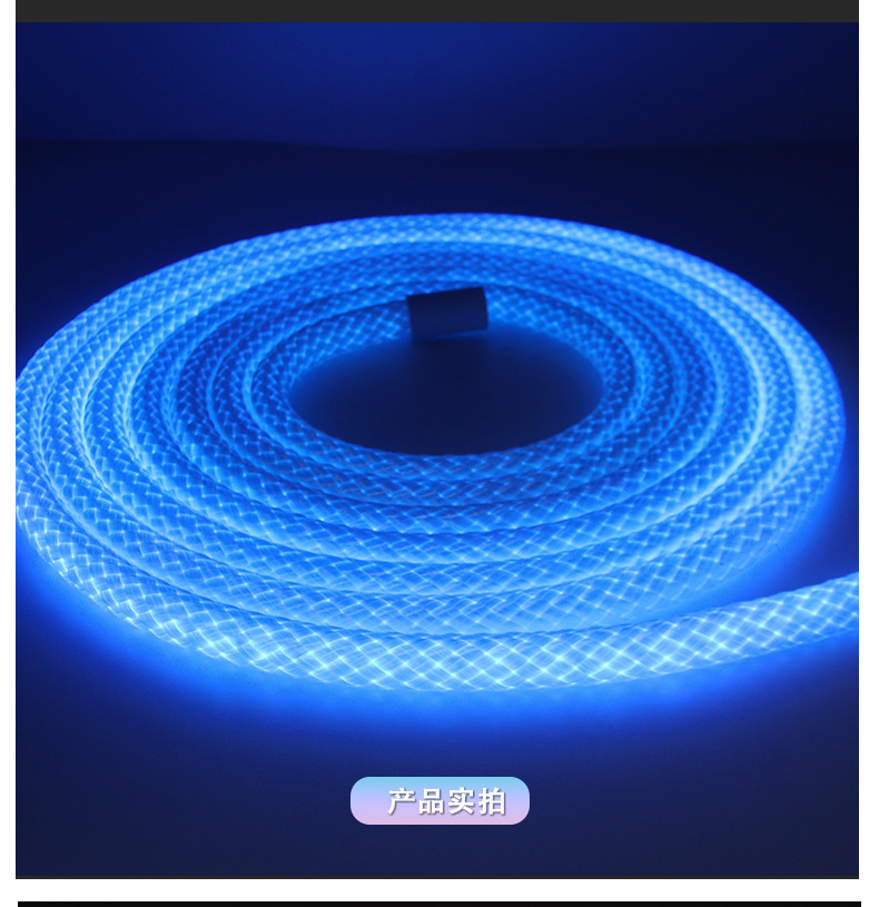 跨境专供龙纹编织幻彩灯带LED霓虹灯10mm防水Led柔性霓虹灯条形灯详情15