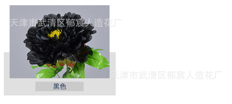 详情_04.png