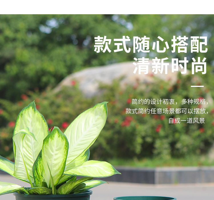 加厚塑料花盆阳台绿萝盆栽草莓月季花盆批发特大号花盆树脂加仑盆详情8