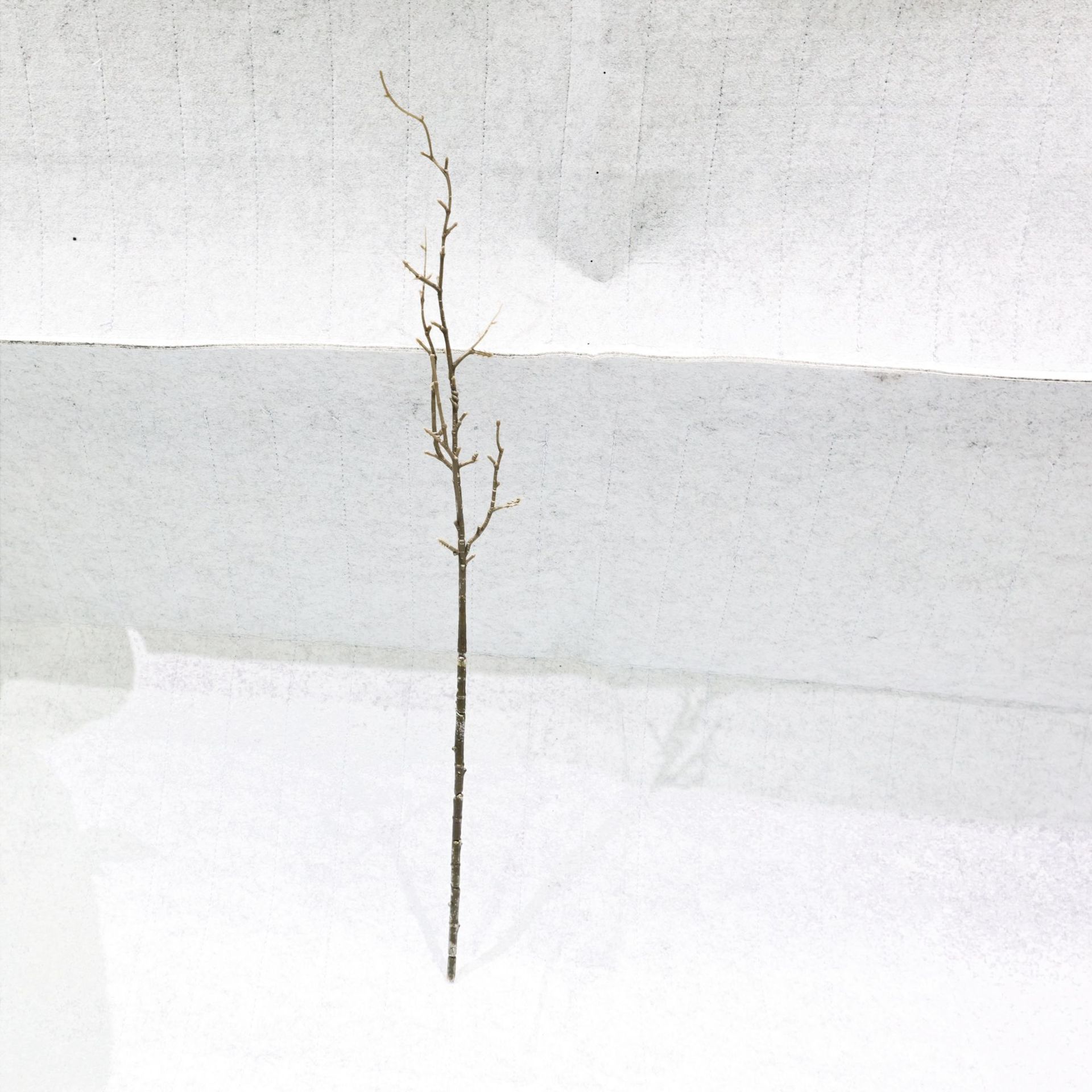 仿真柿子石榴枝花枝杆塑料铁丝多功能客厅插花装饰拍摄摆件办公文化园艺仿真树叶详情10