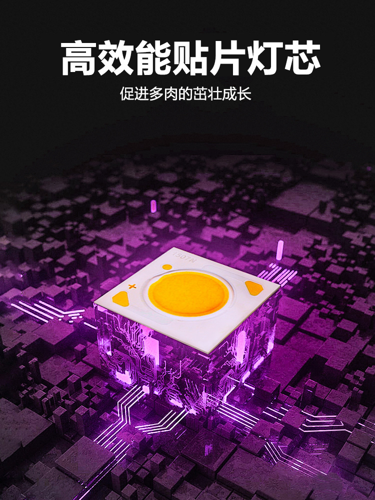 The clamps succulent supplementary light, indoor green plant and flower imitation solar full-spectrum plant growth light, is specially designed for coloring pic 8