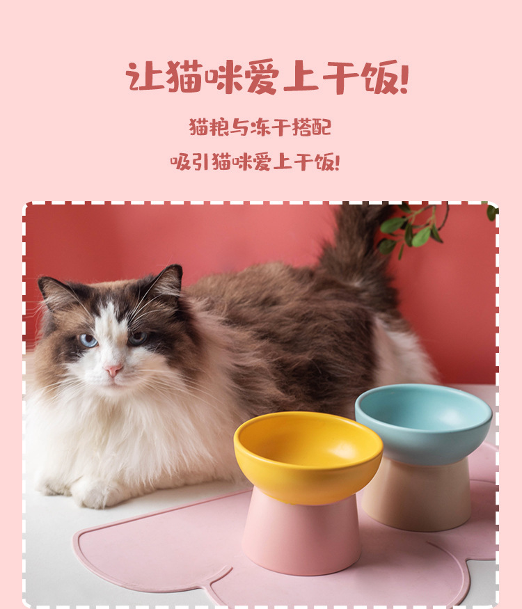 Wholesale of color-blocking ceramic cat bowls with high legs to protect the cervical vertebrae, cat food bowls, cat and dog basins, drinking bowls, and pet snack bowls pic 7