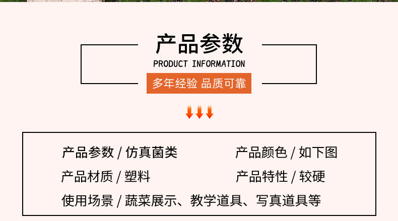 仿真迷您植物香菇平菇菌类套装早教植物静态摆件认知模型套装现货详情2