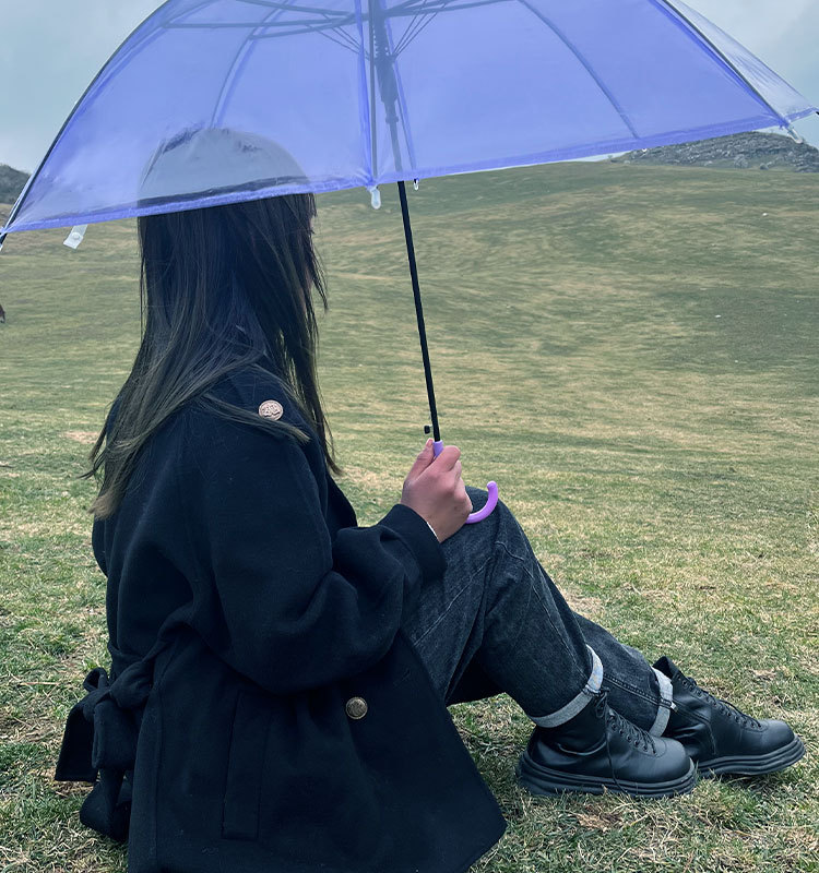 雨伞大量批发透明伞厂家批发简约文艺直杆伞广告礼品伞小清新雨伞详情4