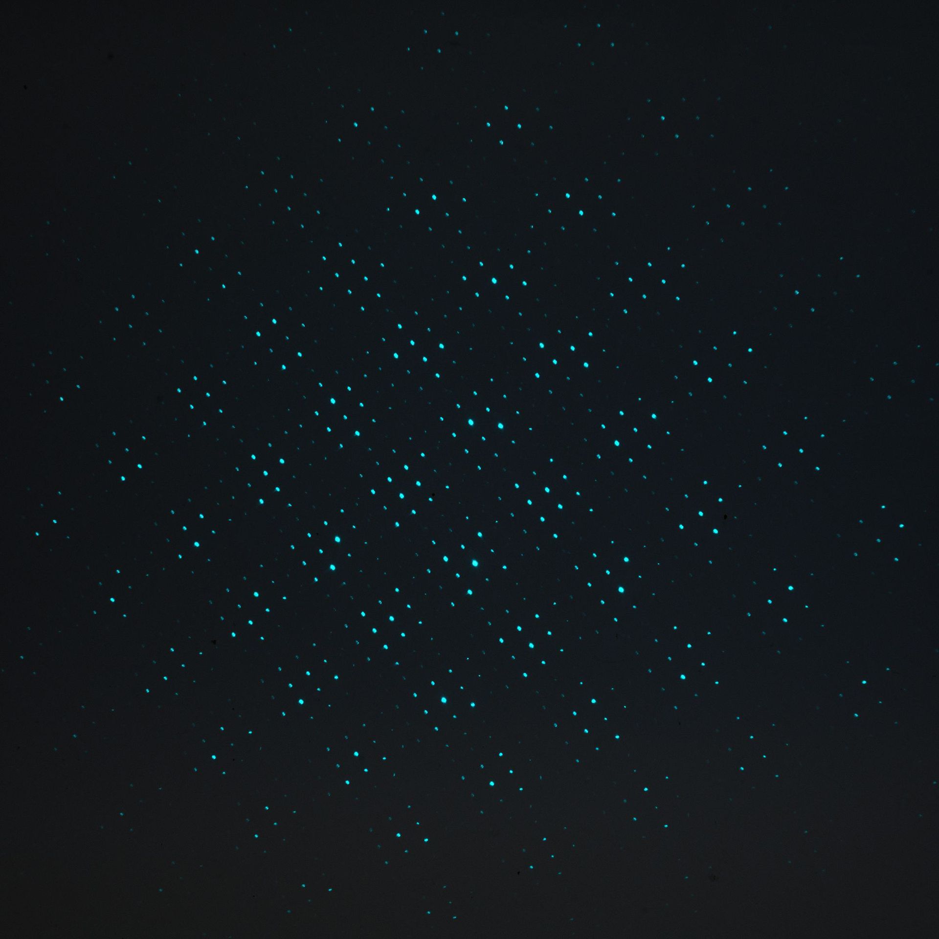 多功能激光灯钥匙扣绿光笔远射灯多图案满天星激光笔玩具登山扣详情22