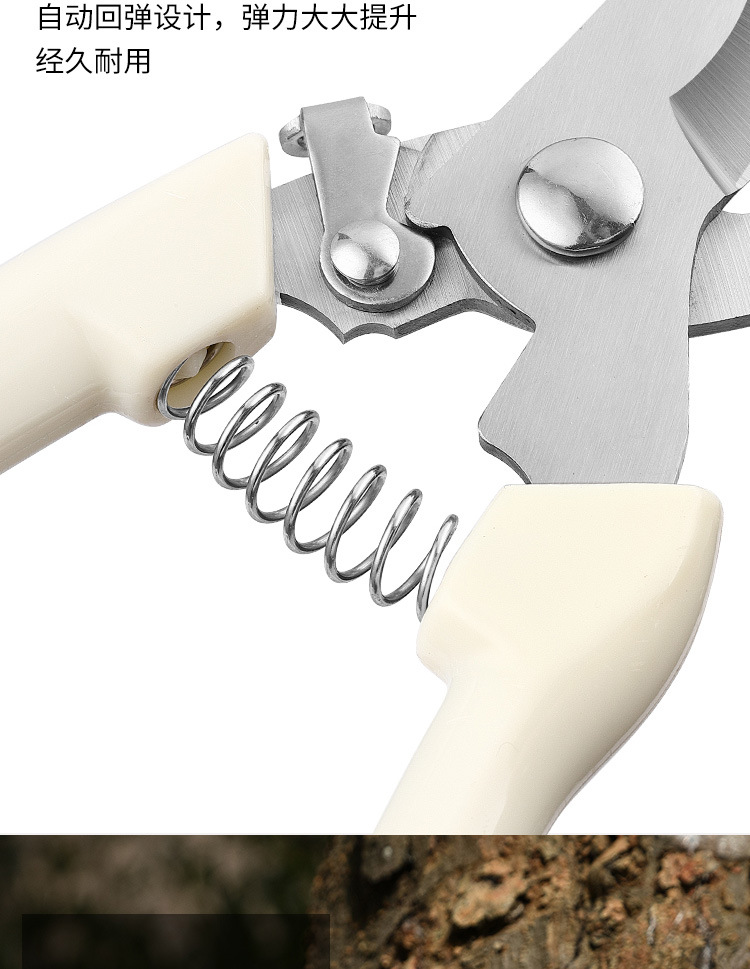 修枝剪全套园艺剪园林弯头花园摘果剪弹簧手动工具剪跨境专供批发详情14