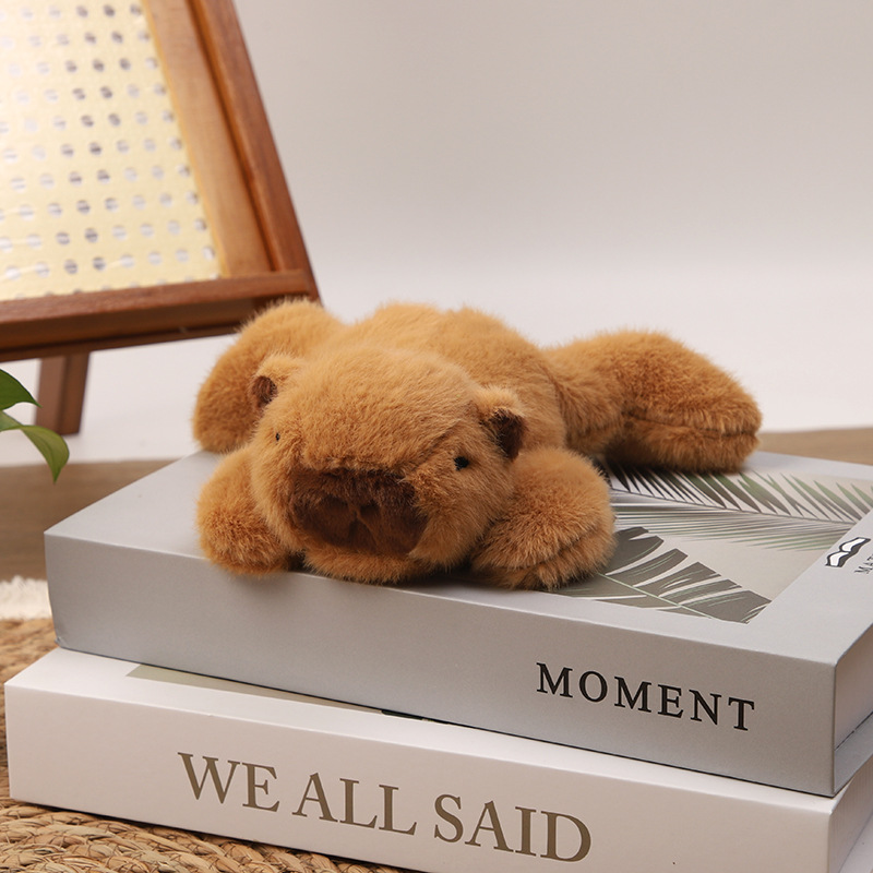 Wholesale of cute cartoon palm-sized plush toys, bear frog dolls, wedding throwing dolls pic 14