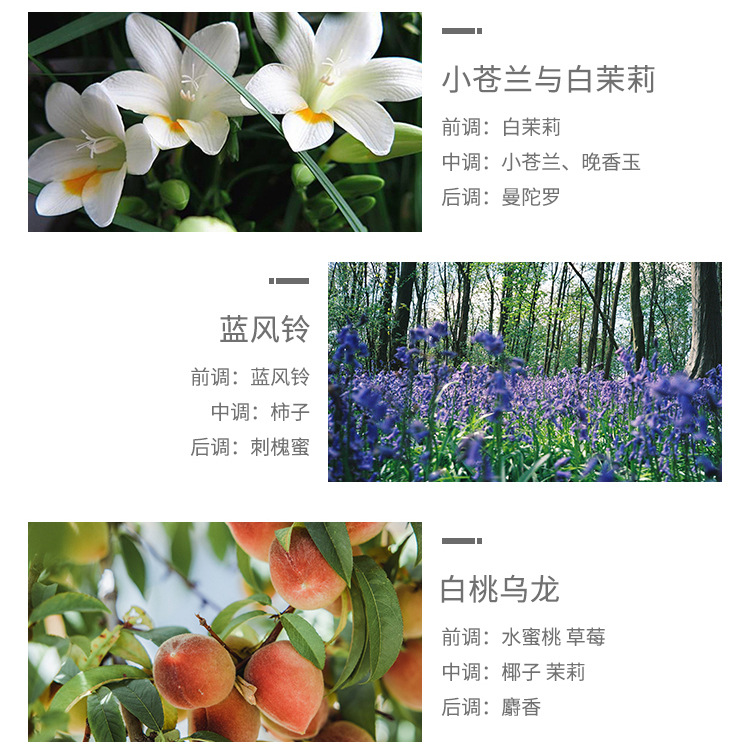 Romantictimes香薰蜡烛试用装无烟茶蜡煮茶香薰小蜡烛酒店KTV摆件详情18