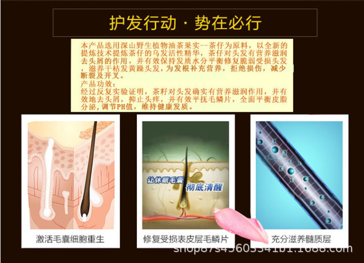 茶籽柔顺洗发露去屑止痒留香清洁头皮日用品家用洗发水代发批发详情9