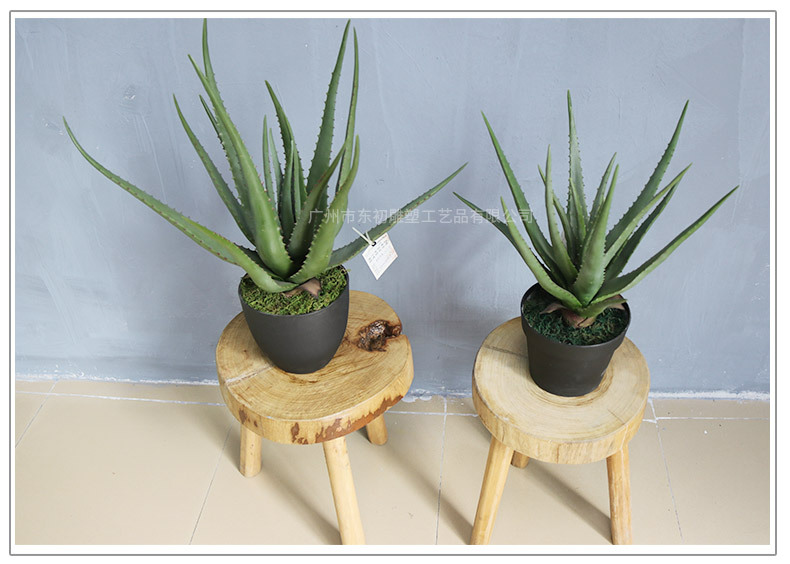 仿真芦荟小盆景摆件 家居小装饰盆栽芦荟 人造假绿植百搭装饰造景详情2