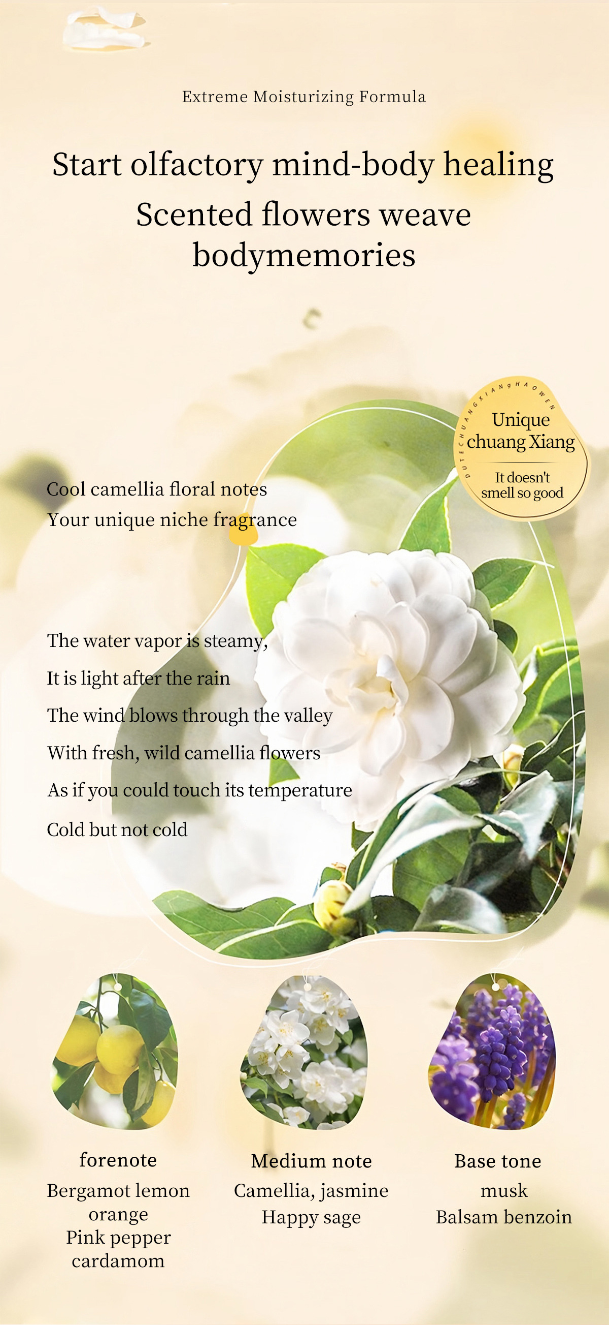 LMLTOP果酸嫩肤香氛沐浴露550ml跨境专供VNLML2111详情8