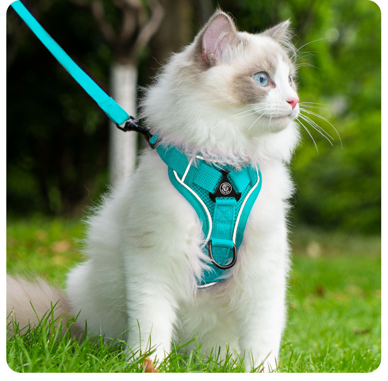Cat leash vest pet chest and back strap cat walking rope chest and back anti-escape cat leash breathable anti-escape pic 18