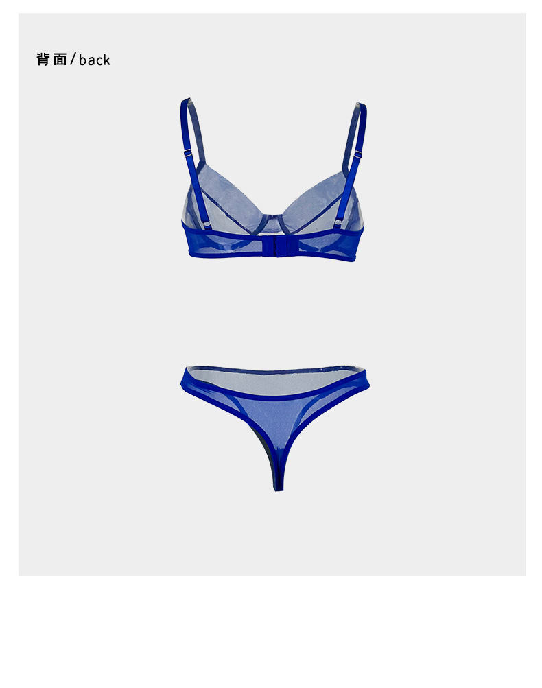 European and American style mesh memory soft steel ring lingerie set, sexy gathering two-piece women's lingerie wholesale JR062 pic 14