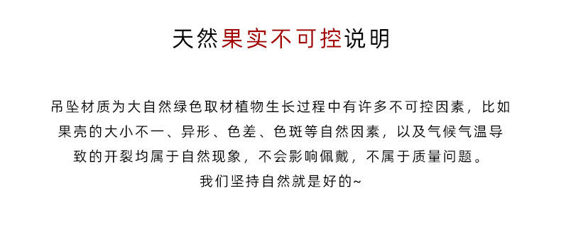 森系果壳摇铃包挂手工风铃音疗愈挂铃钥匙扣车挂植物果实原料挂件详情6