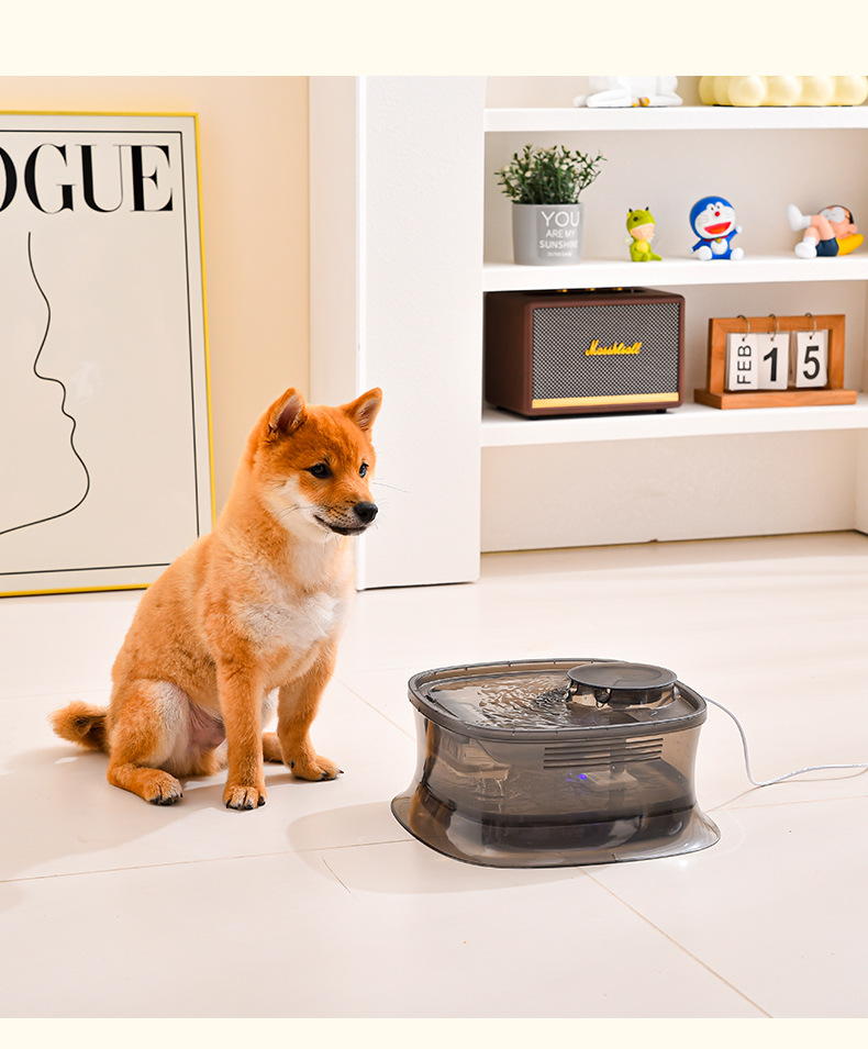 Factory pet water dispenser, automatic circulation filtration, dog water dispenser, intelligent pet water feeder, mobile water dispenser pic 15