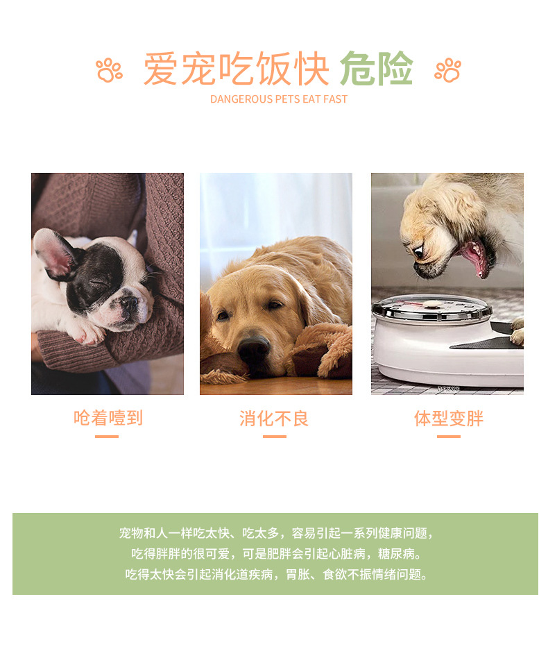 宠物用品慢食碗猫碗狗碗食盆舔食盆跨境新款科学进食防噎塑料缓食详情3