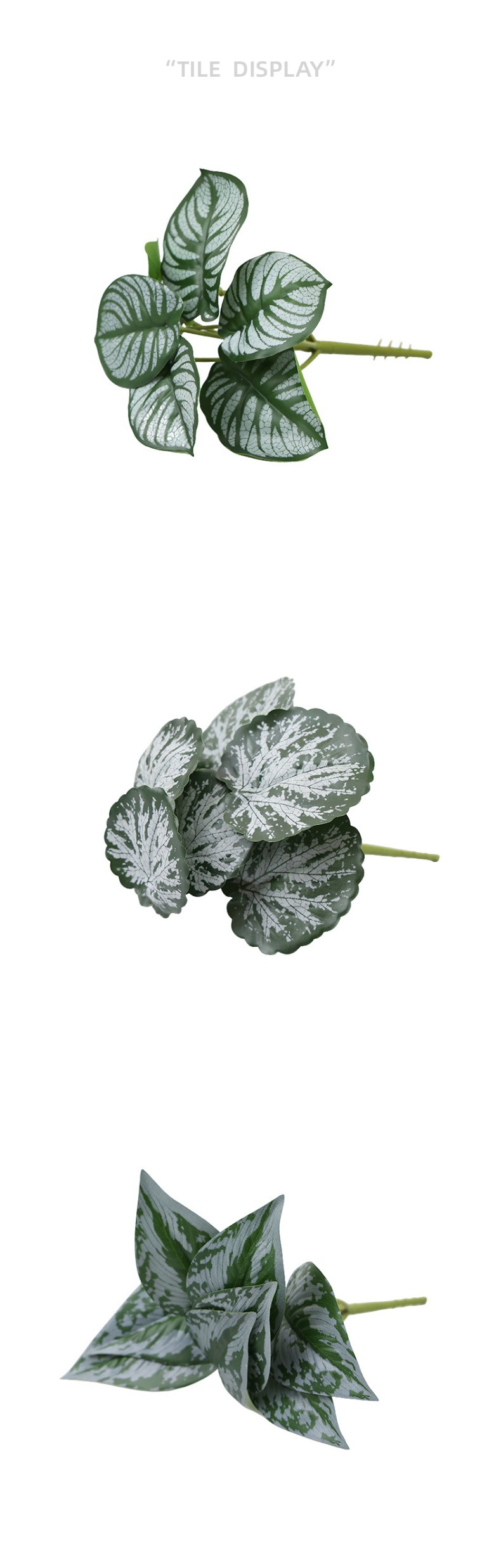 仿真绿植物镜片叶子圆贝叶中壁挂仿真绿植 婚庆造景搭配装饰树叶详情8