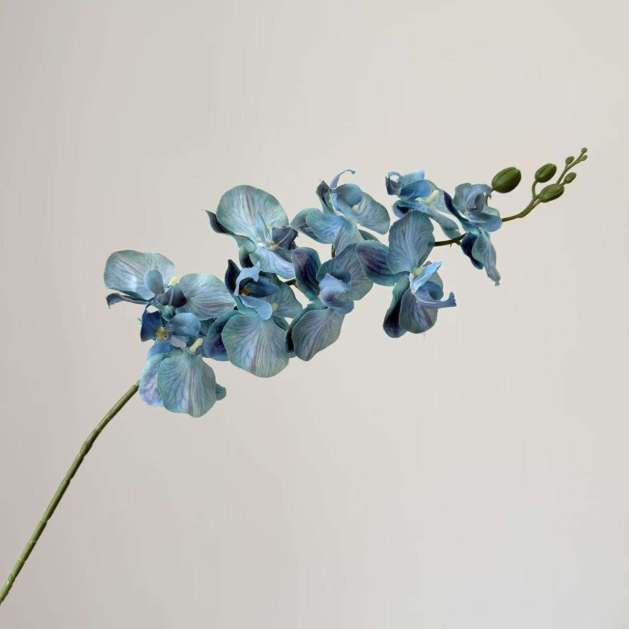 9头蝴蝶兰仿真花手感高级感逼真假花兰花艺场景布置酒店婚庆用花详情36