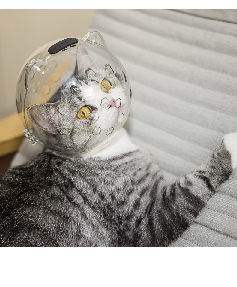 宠物太空头罩打针防咬伊丽莎白项圈术后防添猫头套狗项圈猫咪用品详情5