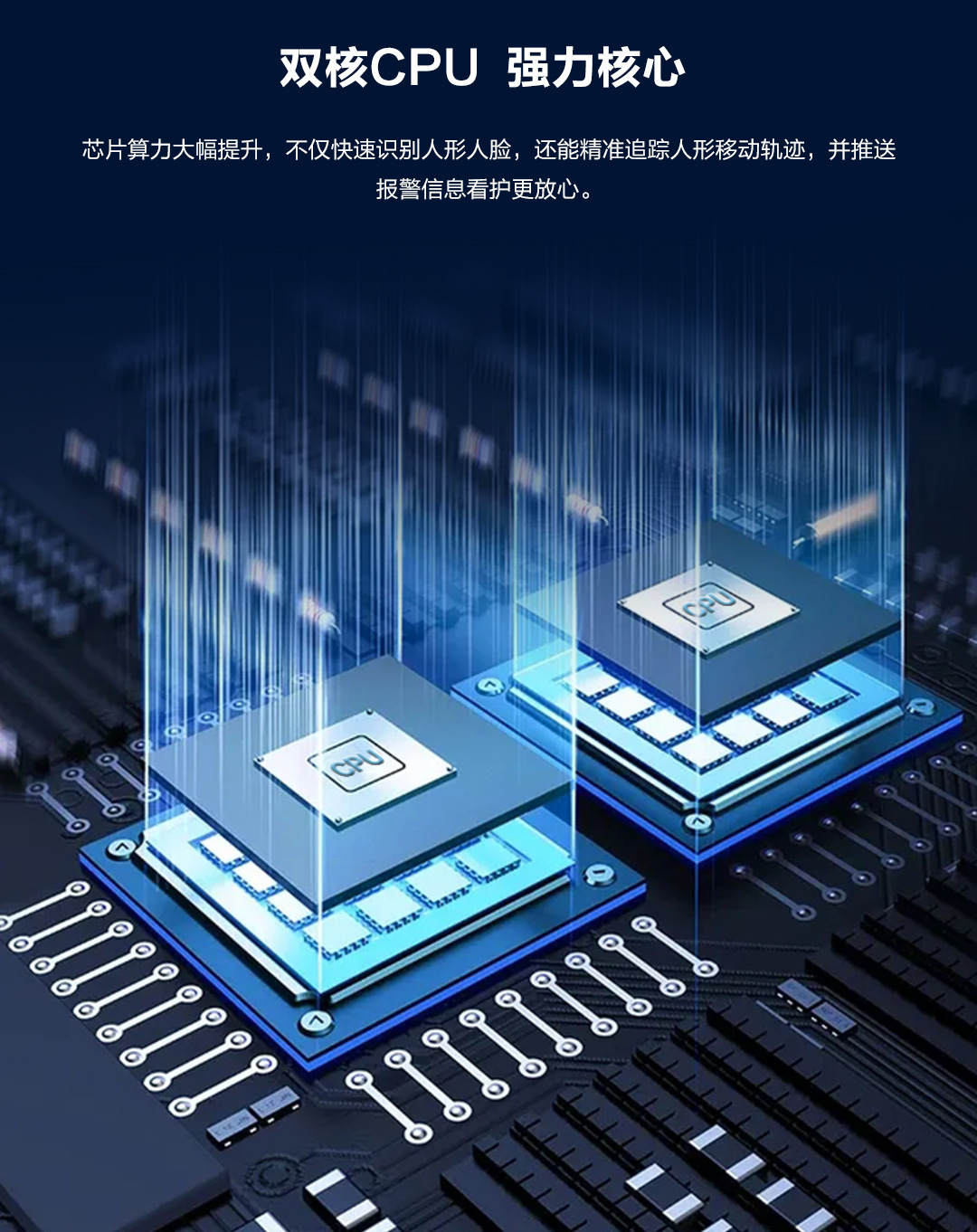 P12--SP8_09.jpg
