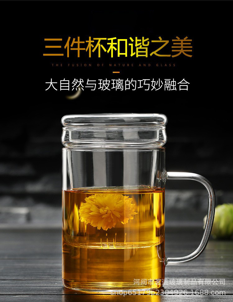 家用高硼硅透明玻璃水杯茶杯有盖带把办公咖啡杯带盖简约泡茶杯详情4