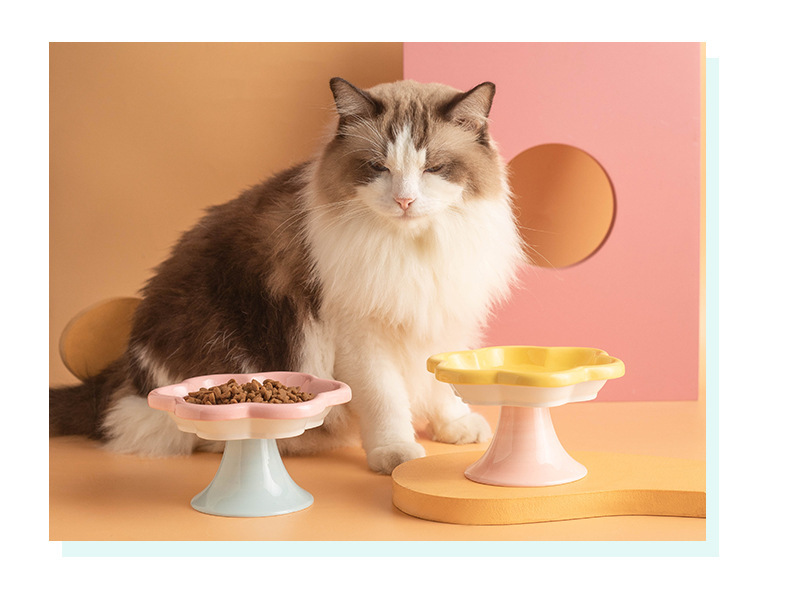 High-quality macaron-colored flower-shaped pet bowls, pet feeding bowls, dog supplies, pet automatic water dispensers, pet supplies, durable and easy to clean pic 13