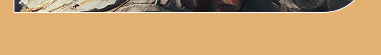 Household clay pot gas stove high-temperature resistant soup and meat stew pot 煲仔饭 porridge new style ceramic pot pic 7