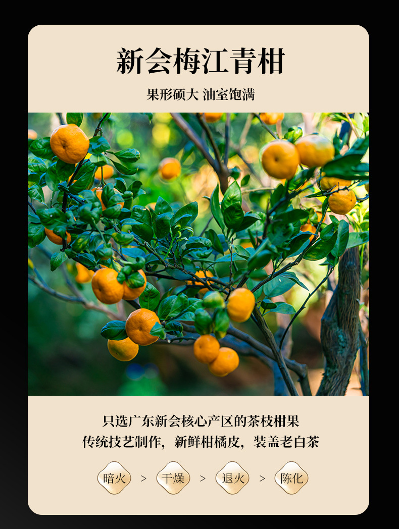 新会小青柑普洱茶天马陈皮普洱茶柑普茶陈皮小青柑散装厂家批发详情11