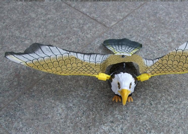 电动吊线飞鹰电动飞鸟飞行老鹰发光发声电动玩具地摊热卖厂家批发详情7