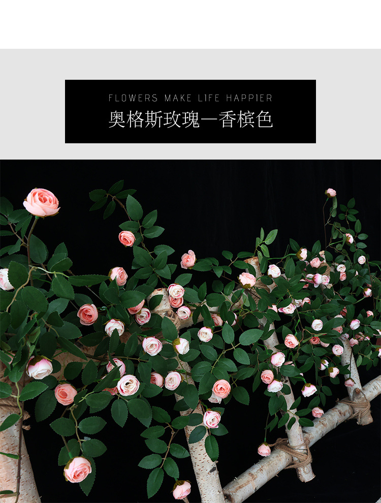 未标题-1_20.jpg