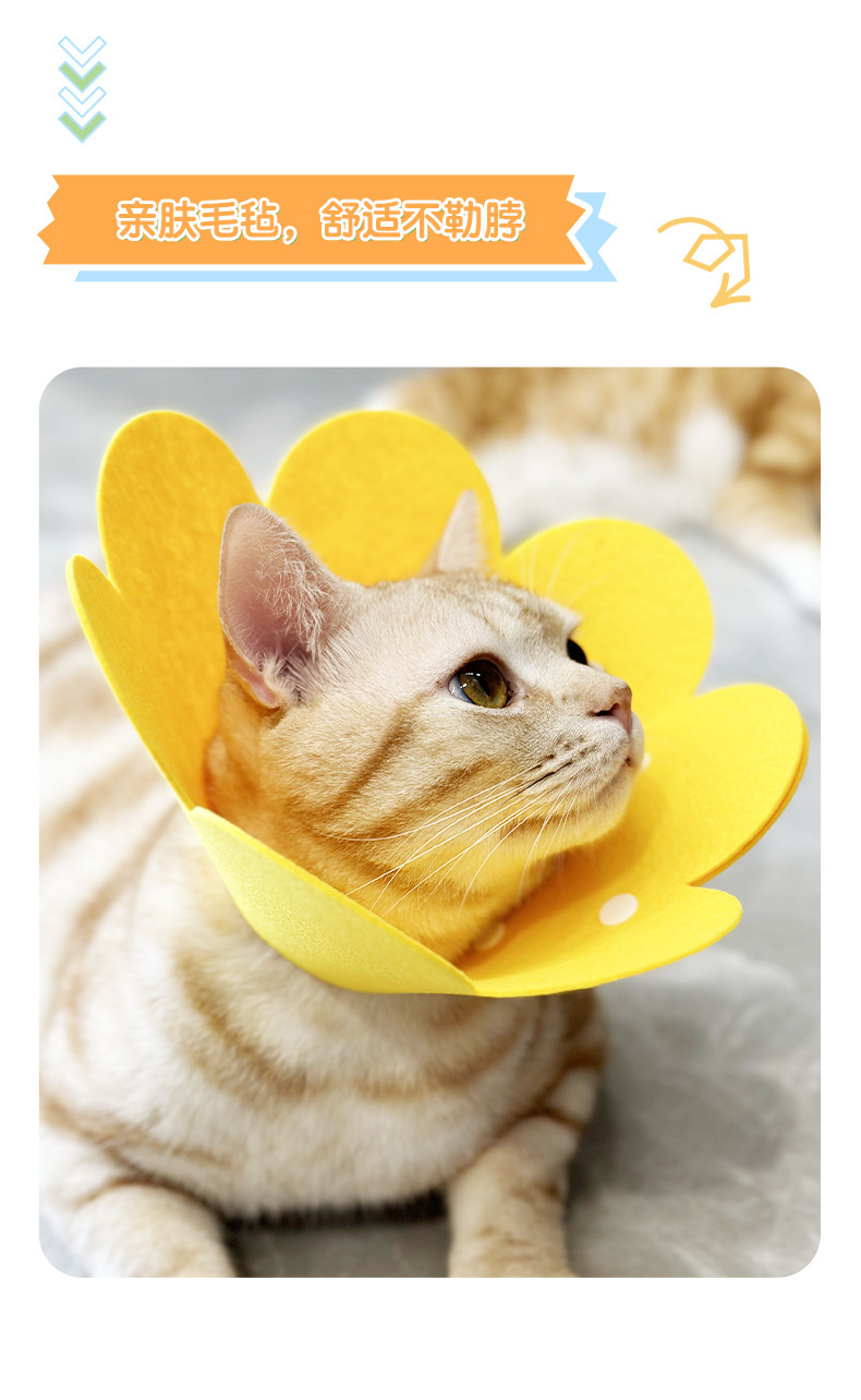 伊丽莎白圈猫咪宠物项圈轻薄毛毡头套术后恢复防舔可调节宠物配饰详情14