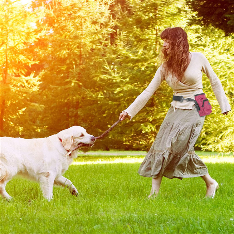 Pet training bag, portable snack bag for dog outings, dog walking bag, multi-purpose pet garbage collection bag, dog training waist bag pic 19