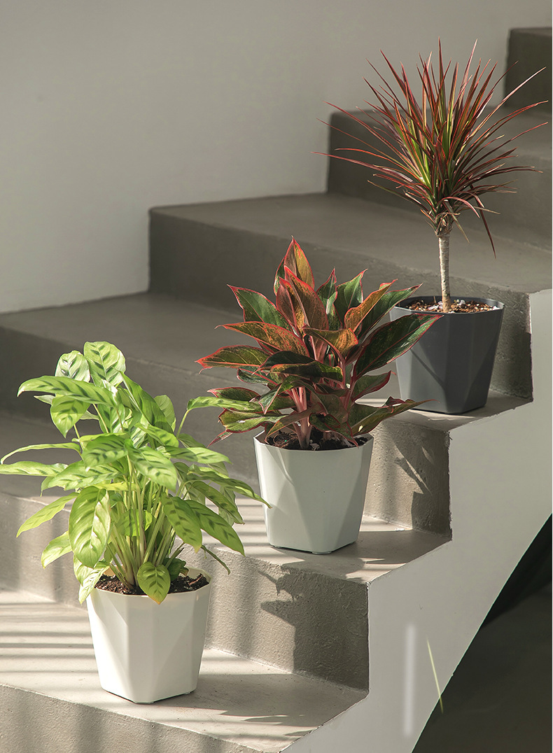 木里盆网红创意树脂绿植多肉塑料花盆加厚北欧简约大口径大号外贸详情11