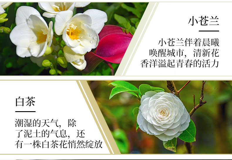10ML oily humidifier aromatherapy essential oil aromatherapy linen rose source factory wholesale diffuser pic 2