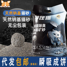狗狗牵引绳中型大型犬金毛狗绳子拉布拉多狗链子狗脖圈狗项圈p链详情1