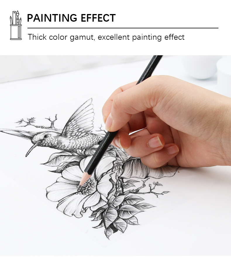 Yalong Cross-border Student Wholesale Hot Selling Stationery Set of 12 standard Pencils for painting Art pic 5
