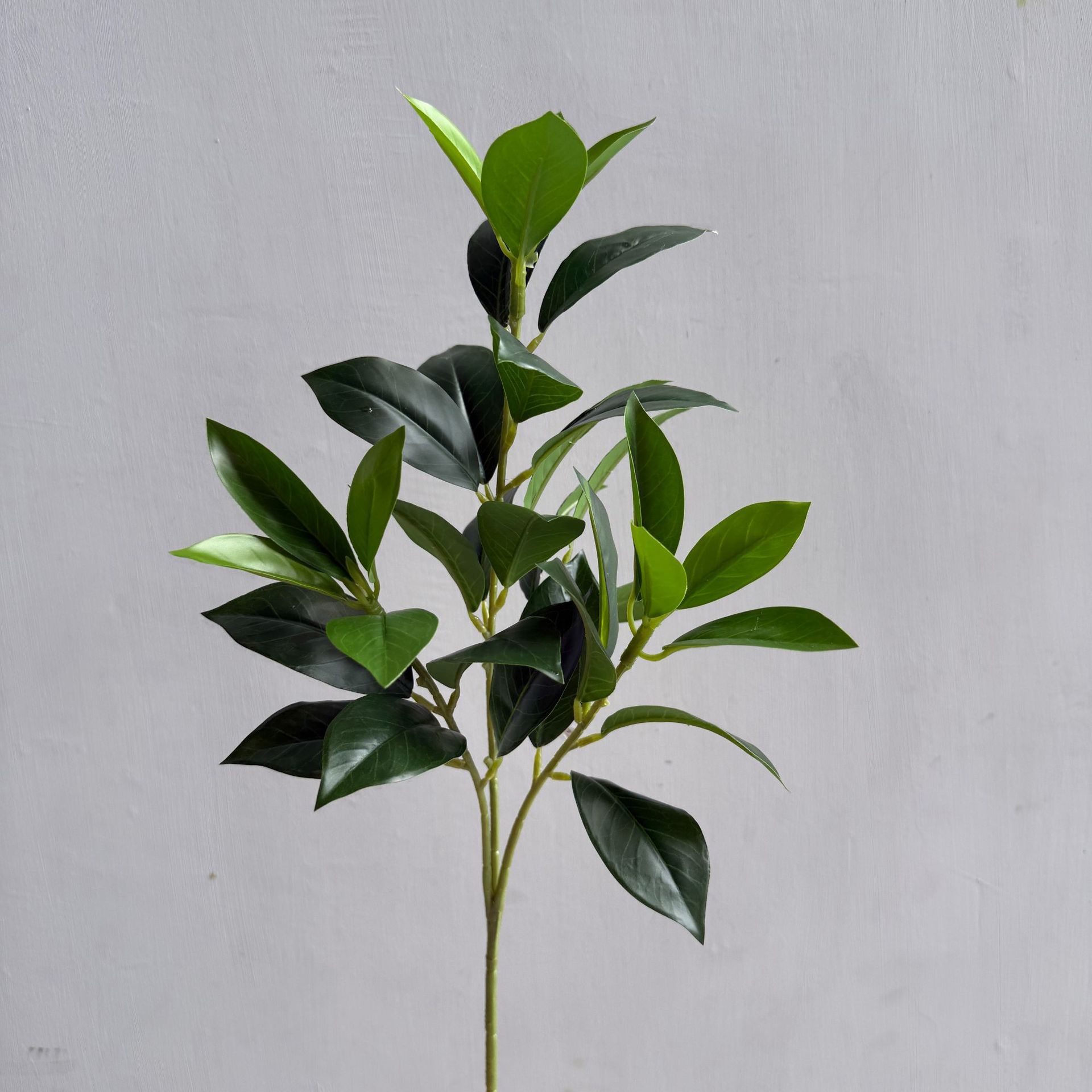 仿真柠檬叶 桔叶 桂花月桂叶 茶树叶 手感叶子植物造景树装饰家居详情12