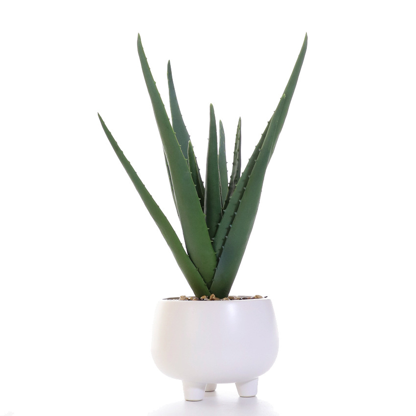 Simulated soft rubber aloe vera artificial flower set, white ceramic potted green plants, succulent plant decorative ornaments, cross-border pet gardening pic 2