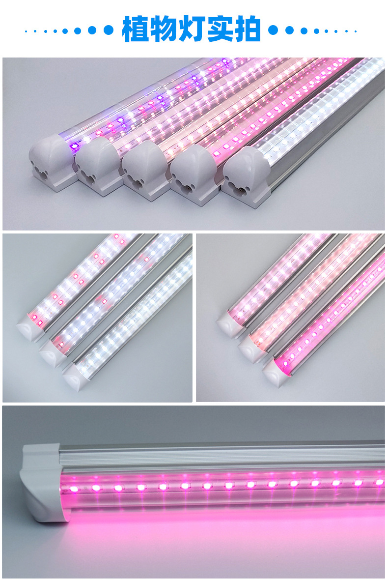 T8全光谱植物灯LED室内蔬菜育苗植物生长灯温室大棚多肉补光灯详情17