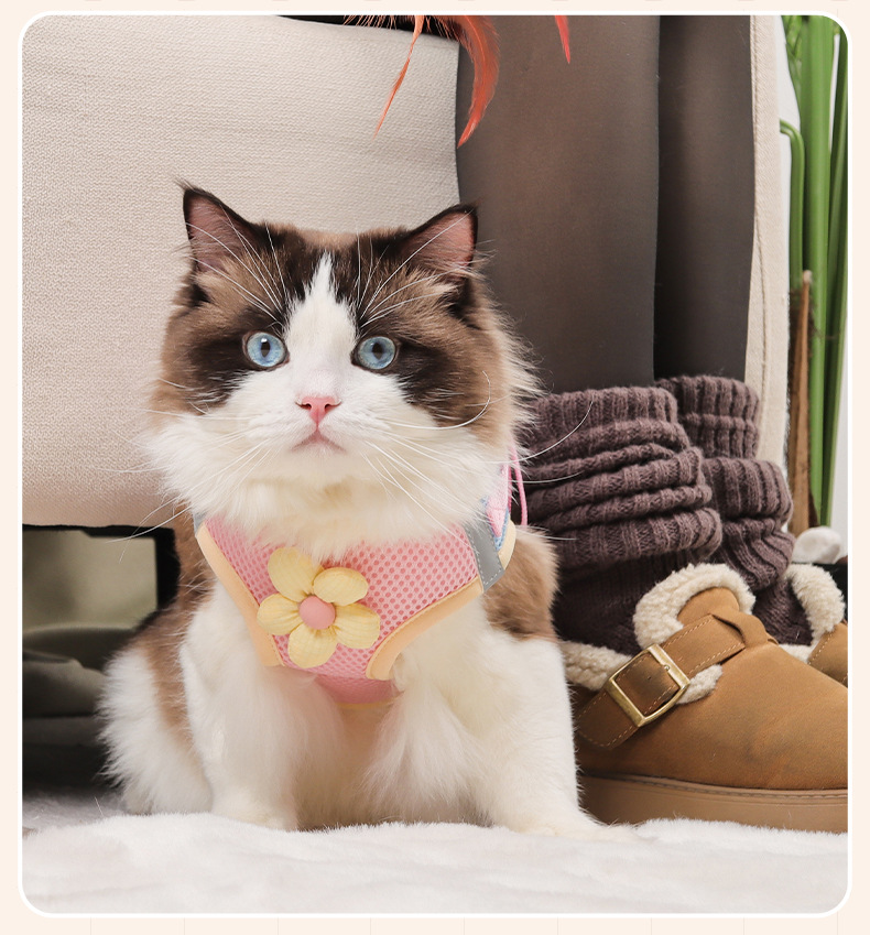 Nuevo estilo de cuerda de tracción de gato lindo pequeño tamaño perro pecho arnés tipo chaleco pet pecho espalda anti-liberación envoltura completa pic 12