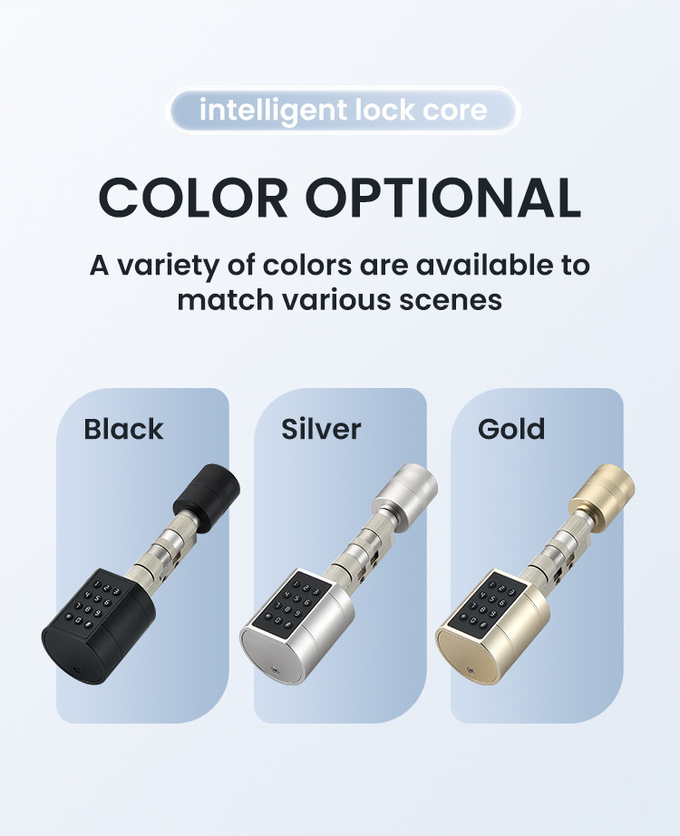 Cross-border smart lock core, graffiti all Bluetooth fingerprint password lock, indoor office apartment adjustable smart door lock pic 11