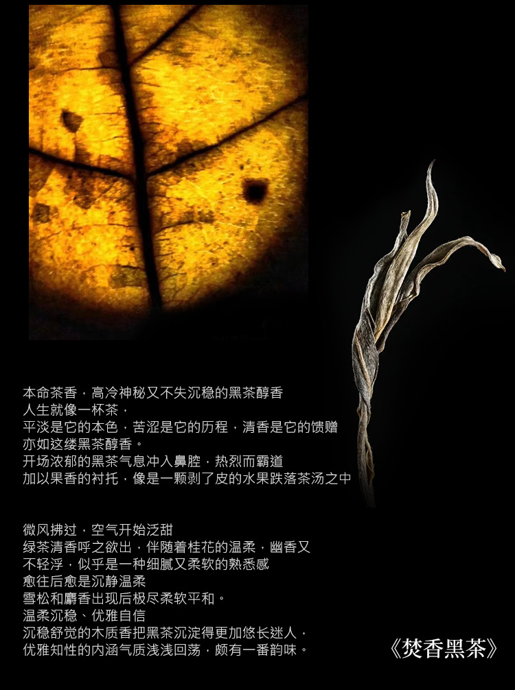 暖檬莱茵茶桂焚香黑茶香水女士清新持久淡香小众跨境批发详情6