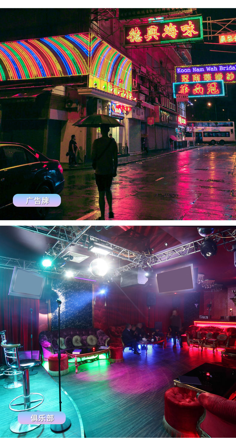 跨境专供龙纹编织幻彩灯带LED霓虹灯10mm防水Led柔性霓虹灯条形灯详情4