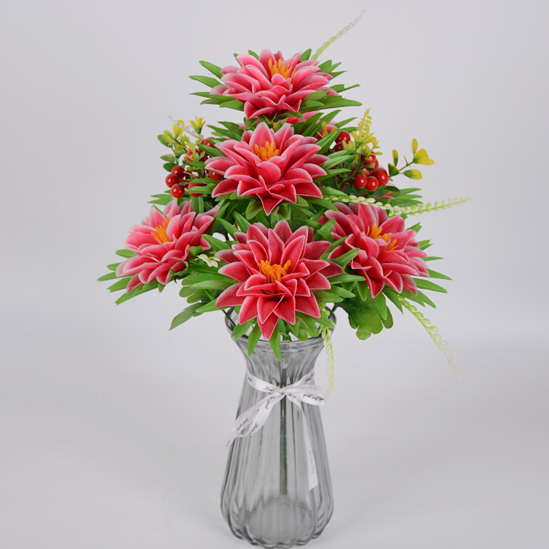 10头7耳菊04.JPG