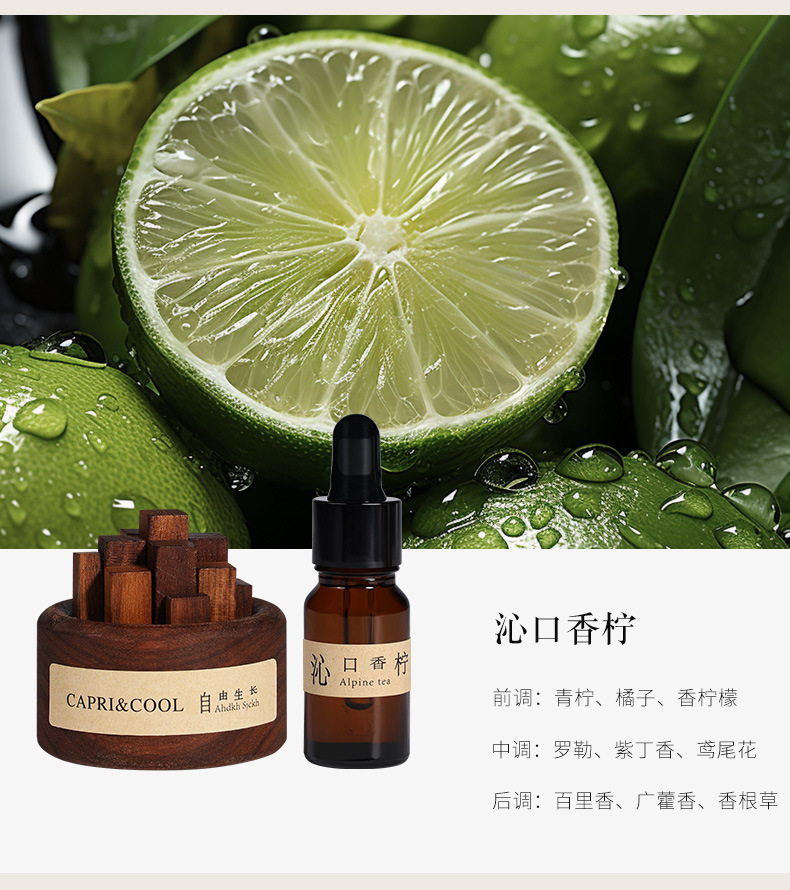 Free-growing diffuser wood, flameless aromatherapy essential oil, home indoor diffuser, bedroom decoration, flameless fragrance gift pic 22