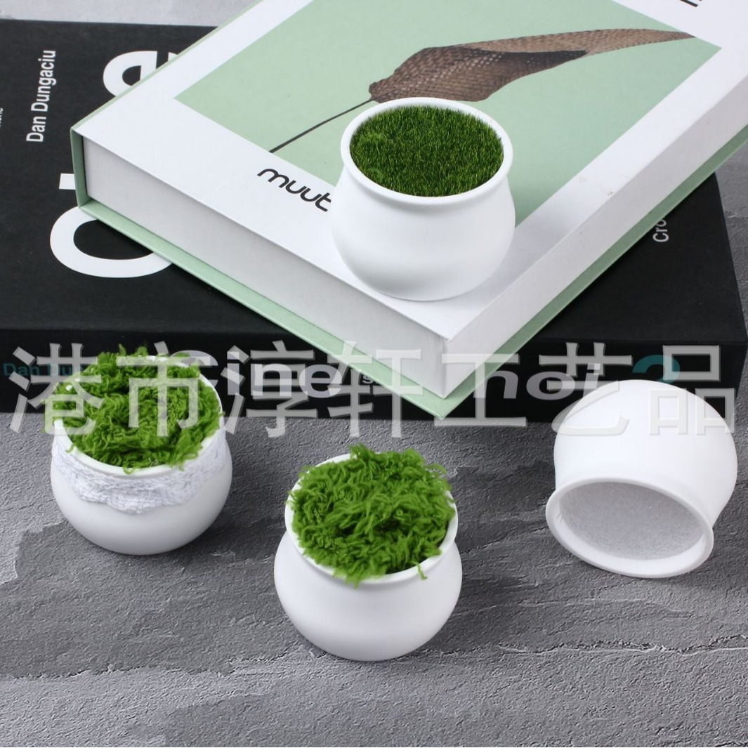 工厂直销塑料花盆简约圆形盆景防摔迷你花盆毛线扭扭棒仿真小花盆详情7