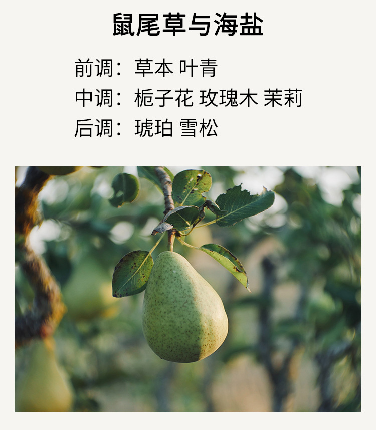 圣诞节香薰蜡烛礼盒套装香氛结婚布置摆件装饰品香氛礼物用品小详情15